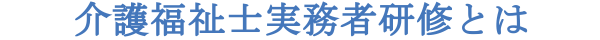 実務者研修とは